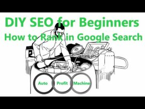 DIY SEO for Beginners How to Rank in Google Search WSEOY