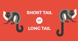 How to Find and Rank Long Tail Keywords