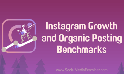 Instagram Growth and Organic Posting Benchmarks