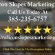 Silicon Slopes Marketing Co. Salt Lake City Utah - Perfect 5 Star Review by Lori T. - Review Badge