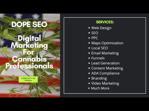 DOPE SEO   Digital Marketing for Cannabiz Professionals