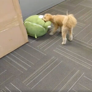 Doogler With Android Plush Toy