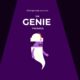 Genie Package | Email Marketing, SEO, Social Media Marketing for Business