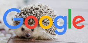 Google Reiterates That A Spike In Crawling Is Unrelated To Upcoming Search Algorithm Updates