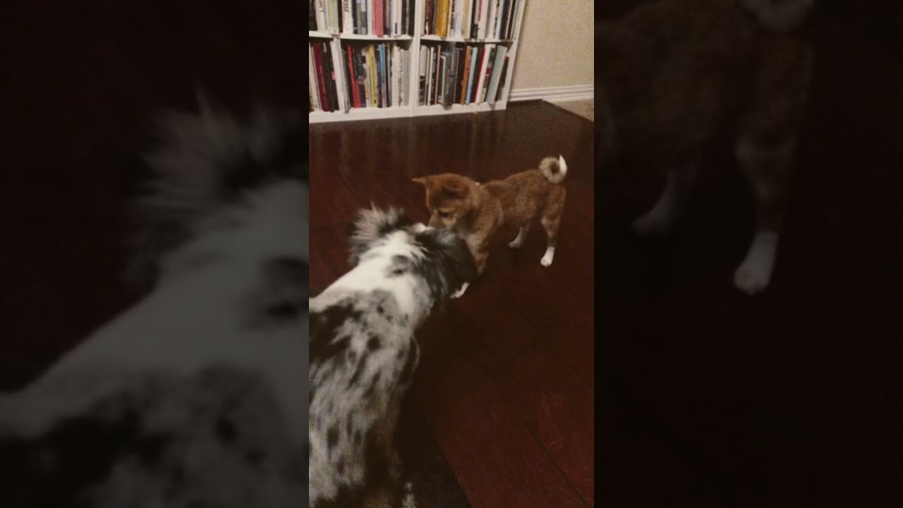 Lucina joins the marketing team. We now have a new seo specialist