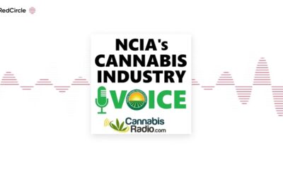 NCIA Cannabis Industry Voice - SEO Optimization for Cannabis Websites with Dmytro Syvak