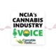 NCIA Cannabis Industry Voice - SEO Optimization for Cannabis Websites with Dmytro Syvak