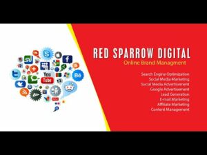 Red Sparrow Digital | Web, SEO & Digital Marketing Agency