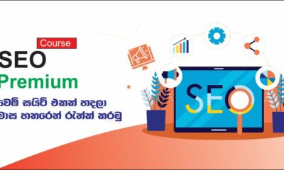 SEO Premium Course - Digital Marketing SEO-Learn about SEO within four month