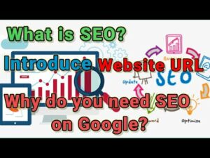 Search engine optimization|Introduce Website URL|Why do you need SEO services