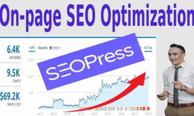 Website SEO Optimization, SEOPress Plugin, WordPress SEO