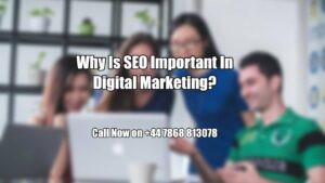 Why Is SEO Important In Digital Marketing