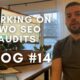 Working on Two SEO Audits - Vlog #14