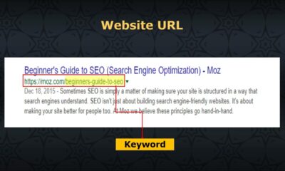 Generate more traffic with Search Engine Optimization SEO