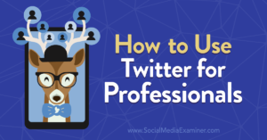 How to Use Twitter for Professionals