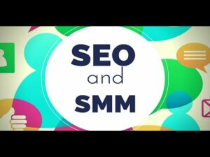 What is search engine optimization? | What is social media marketing?