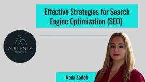 Effective strategies for Search Engine Optimization | Audients Digital - Empower Digital Competence