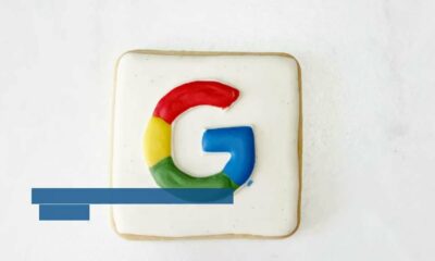 Google Ads Auto Applied Recommendations Every setting, explained | Optimized Webmedia Marketing