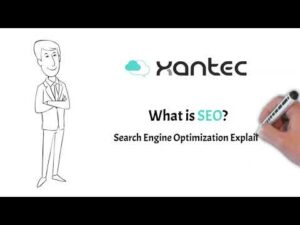 What is SEO? Search Engine Optimization explained.