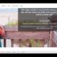 Google ads campaign | #35 Microsoft Advertising  Search Engine Marketing