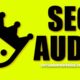 SEO Audit - Search Engine Optimization Audit Book