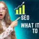 What is SEO ? | Search Engine Optimization |  What it used to mean