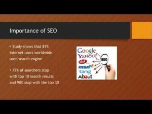 What is Search Engine Optimization | Importance of SEO