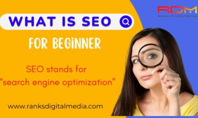What is Search Engine Optimization (SEO) | SEO For Beginners | Ranks Digital Media