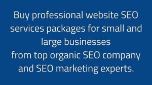 Buy SEO services online