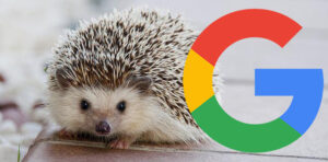 Google Crawl Spikes After URL Parameter Tool Went Offline?