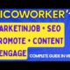 How To Complete Marketing Job + SEO + Promote + Content + Engage in Picoworkers job