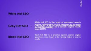 Search Engine Marketing Portfolio