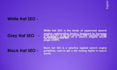 Search Engine Marketing Portfolio