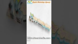 Website Development + Search Engine Optimization + Website Traffic Solutions Agency from India