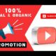 Youtube video promotion organically, seo for ranking, viral marketing