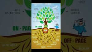 onapage seo and offpage seo - search engine optimization tree #empirelytics