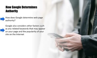 the fundamentals of search engine optimization