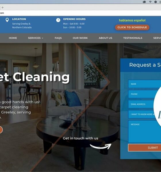 First Page SEO Google Case Study - Carpet Cleaning Company