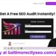 Free SEO Audit: Get a free website SEO audit @ [baltimorecityseo.com/audit]