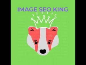 Image SEO King - Search Engine Optimization For Images