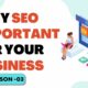Lesson 3 | Why SEO Important For Your Business | How SEO helps in Generating Leads and Sales