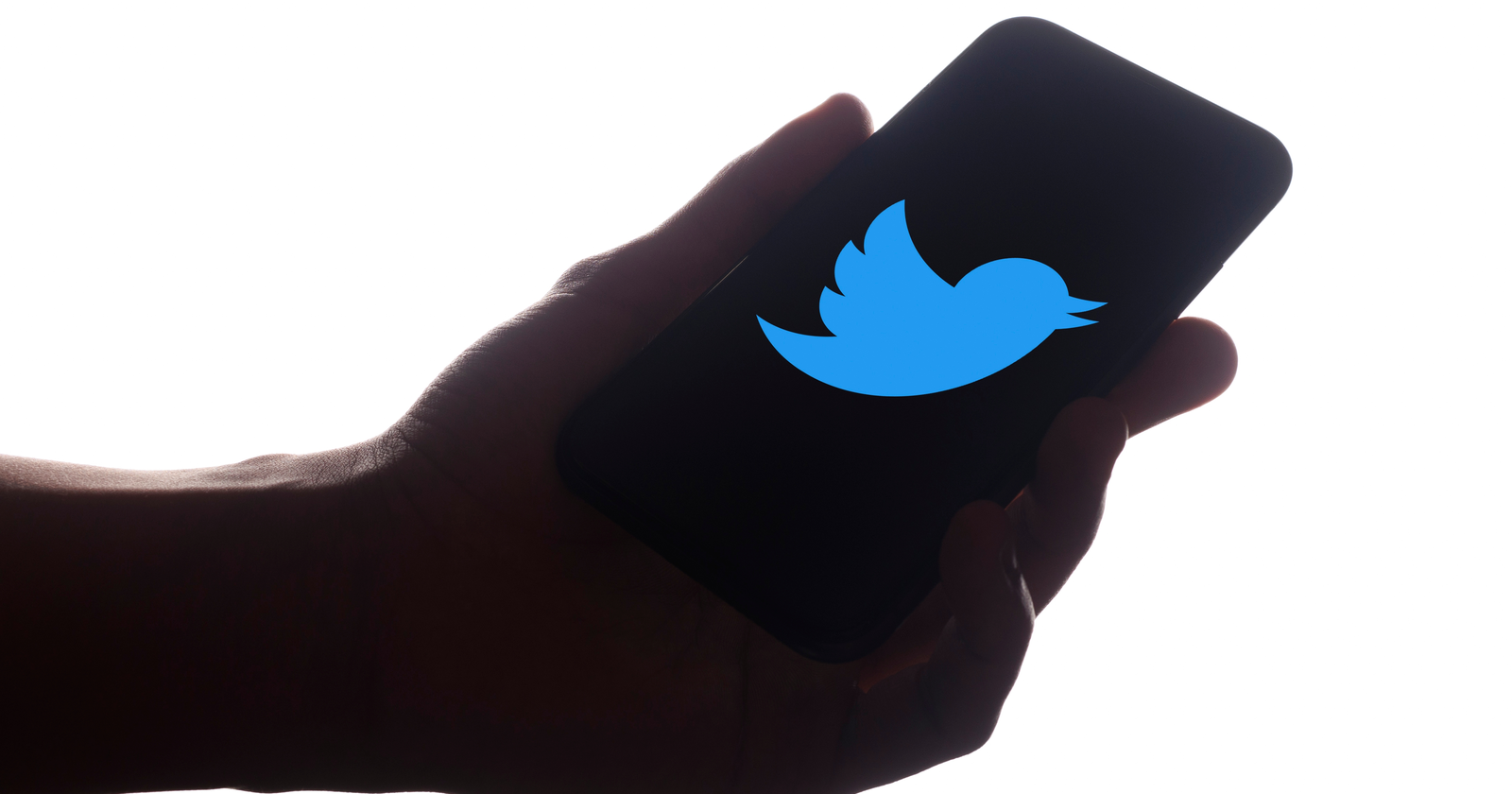 Twitter To Roll Out Notifications For Search Terms