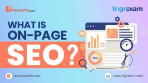 What is On Page SEO | Why is on-page SEO important? | On-Page SEO Elements
