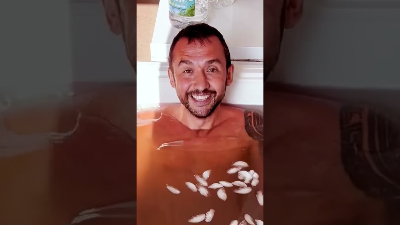 When You Should Hire An SEO Expert? #shorts #seo #marketing #DigitalMarketing #entrepreneur