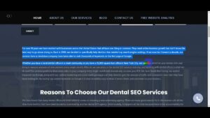 dental seo company || dental seo marketing company || USA dental seo company || PART 143