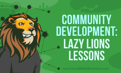 Community Development: Lazy Lions Lessons