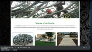 Los Gatos Landscape Santa Ana, Landscapers Santa Ana, Little SEO and Marketing