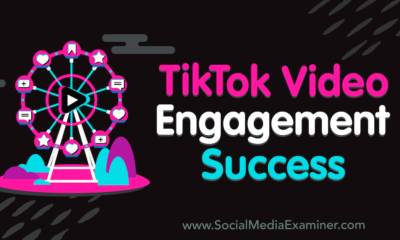 TikTok Video Engagement Success