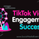 TikTok Video Engagement Success