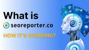 seoreporer.co - AI tool for Professional SEO reports.